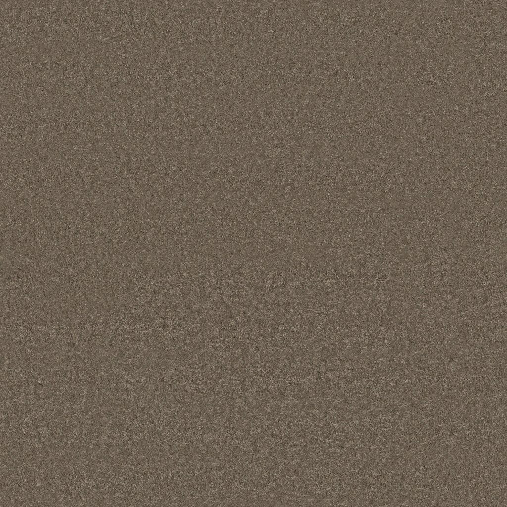 Worldwide Flooring Design Center BEWITCHED BEWITCHED Anderson Tuftex Floors