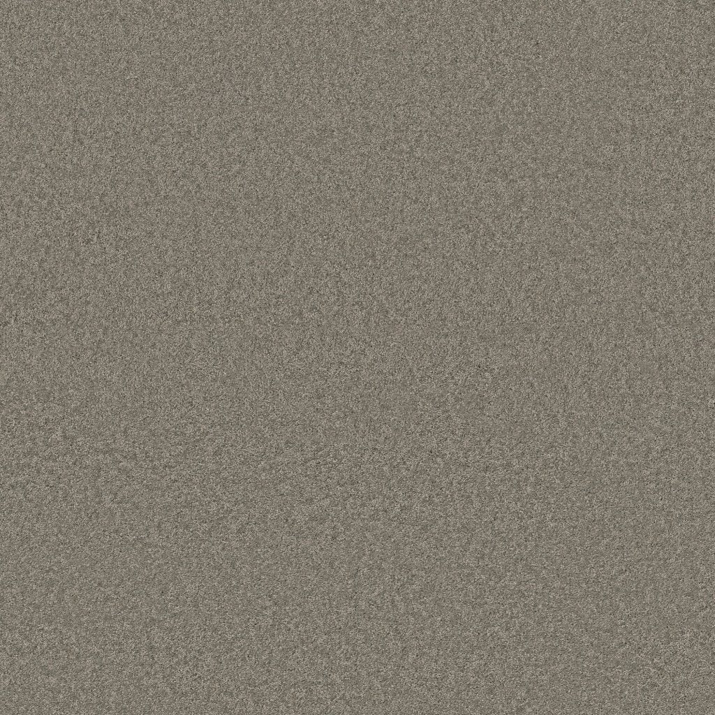 Worldwide Flooring Design Center BEWITCHED BEWITCHED Anderson Tuftex Floors