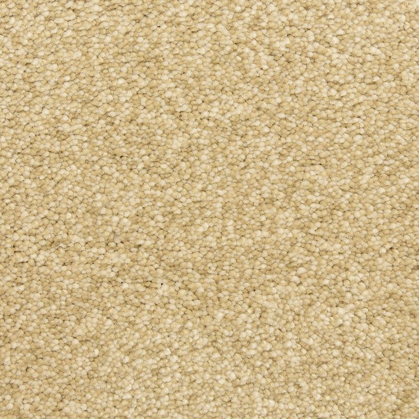 Worldwide Flooring Design Center CIVITAN CIVITAN Masland Floors