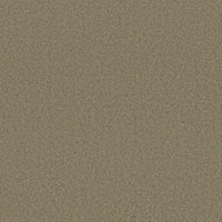 Worldwide Flooring Design Center BEWITCHED BEWITCHED Anderson Tuftex Floors