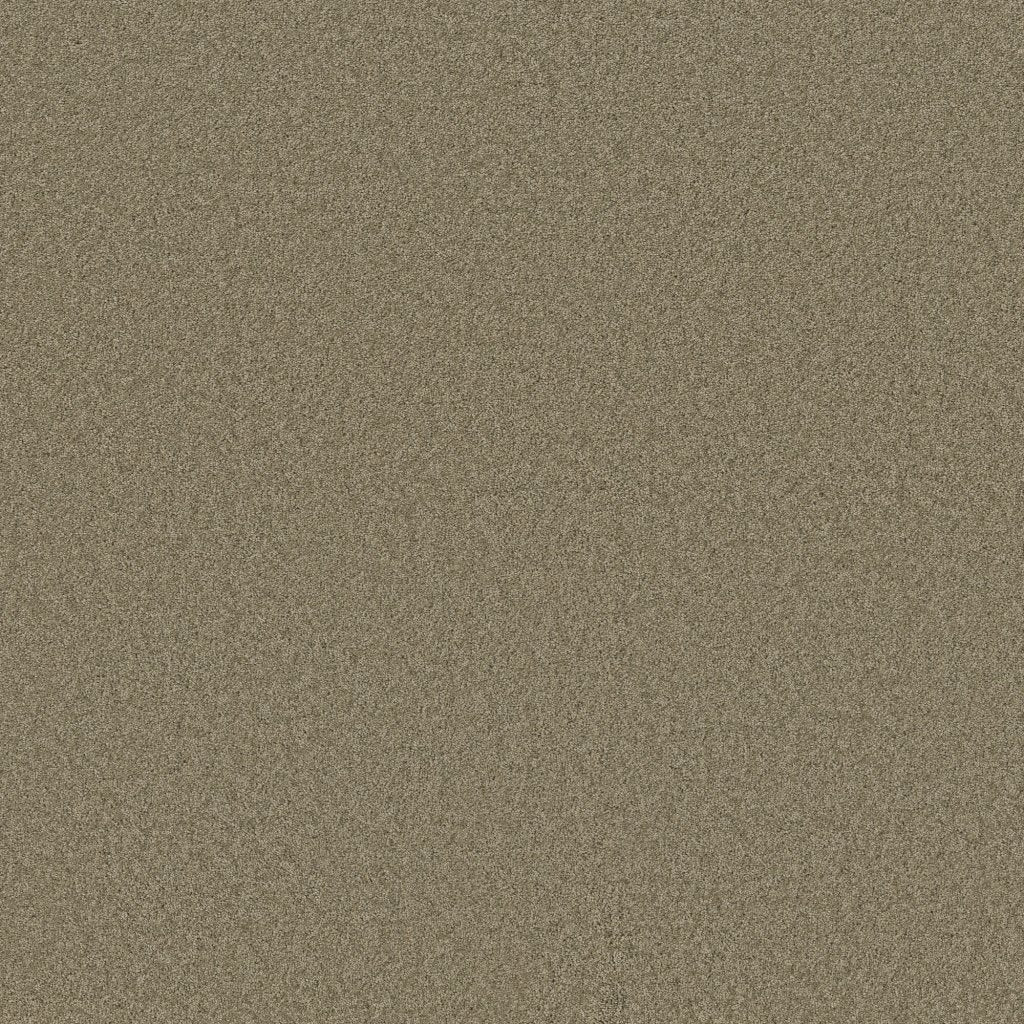 Worldwide Flooring Design Center BEWITCHED BEWITCHED Anderson Tuftex Floors