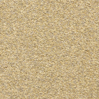 Worldwide Flooring Design Center CIVITAN CIVITAN Masland Floors