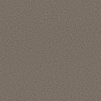 Worldwide Flooring Design Center CATALINA CATALINA Anderson Tuftex Floors