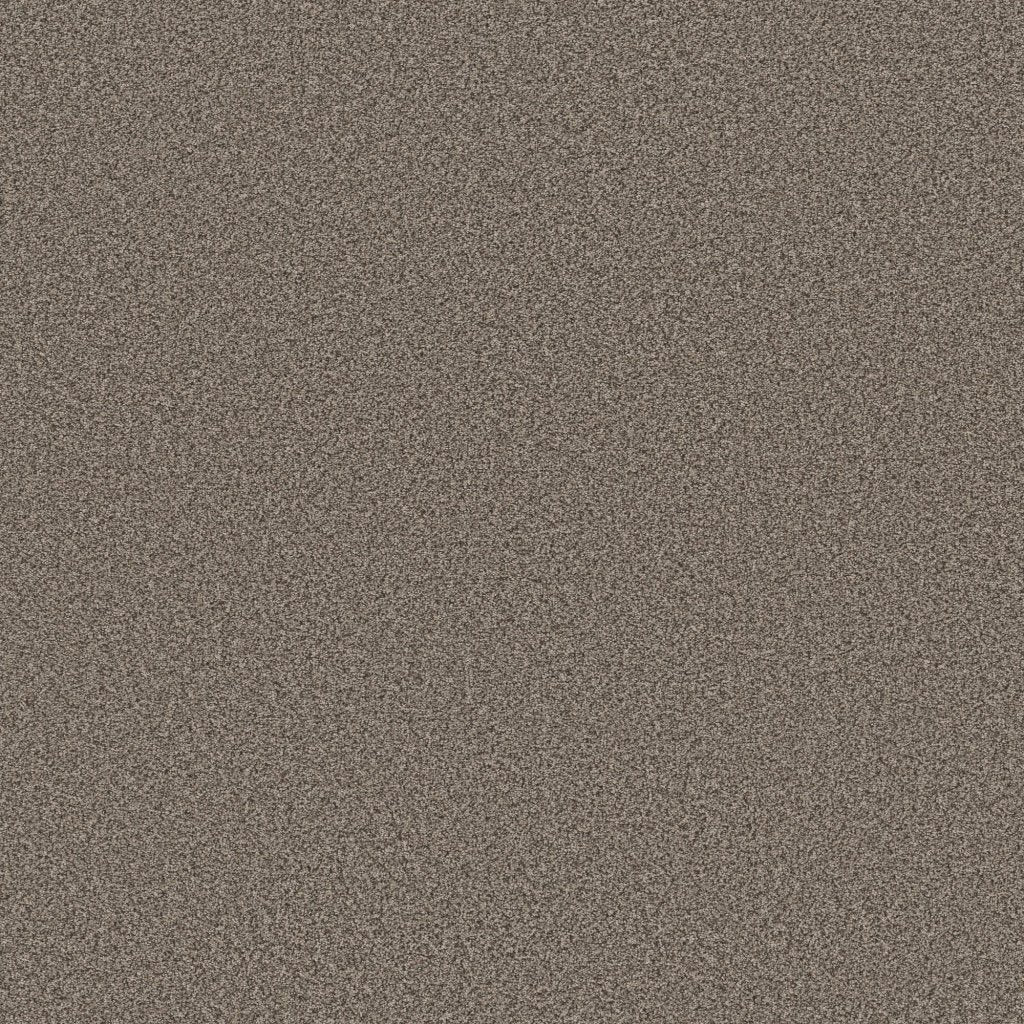 Worldwide Flooring Design Center CATALINA CATALINA Anderson Tuftex Floors
