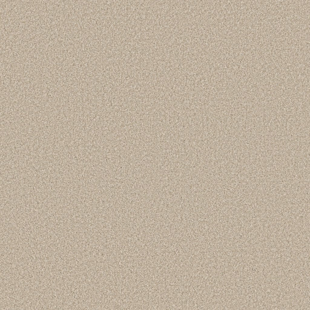 Worldwide Flooring Design Center CATALINA CATALINA Anderson Tuftex Floors