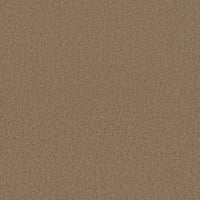 Worldwide Flooring Design Center BEWITCHED BEWITCHED Anderson Tuftex Floors
