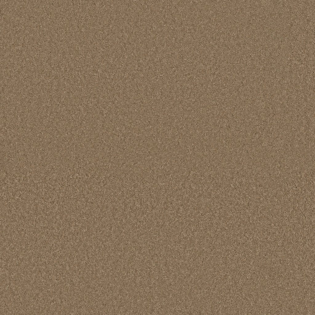 Worldwide Flooring Design Center BEWITCHED BEWITCHED Anderson Tuftex Floors
