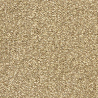Worldwide Flooring Design Center CIVITAN CIVITAN Masland Floors