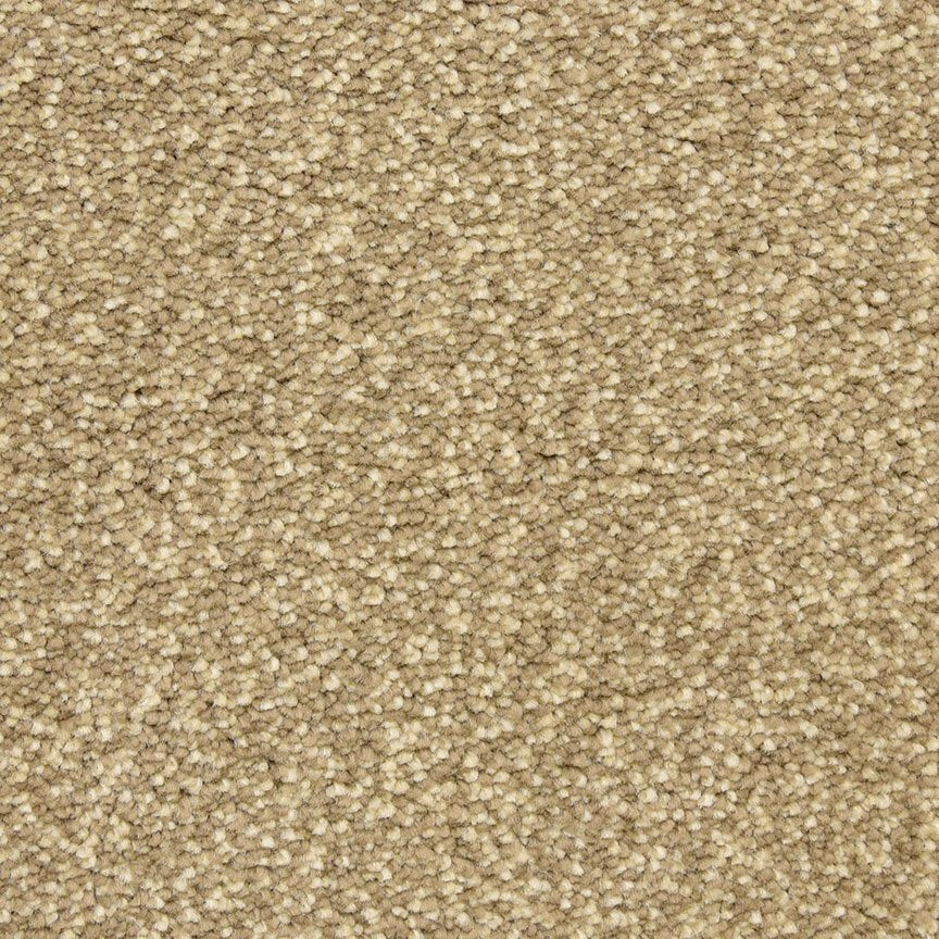 Worldwide Flooring Design Center CIVITAN CIVITAN Masland Floors
