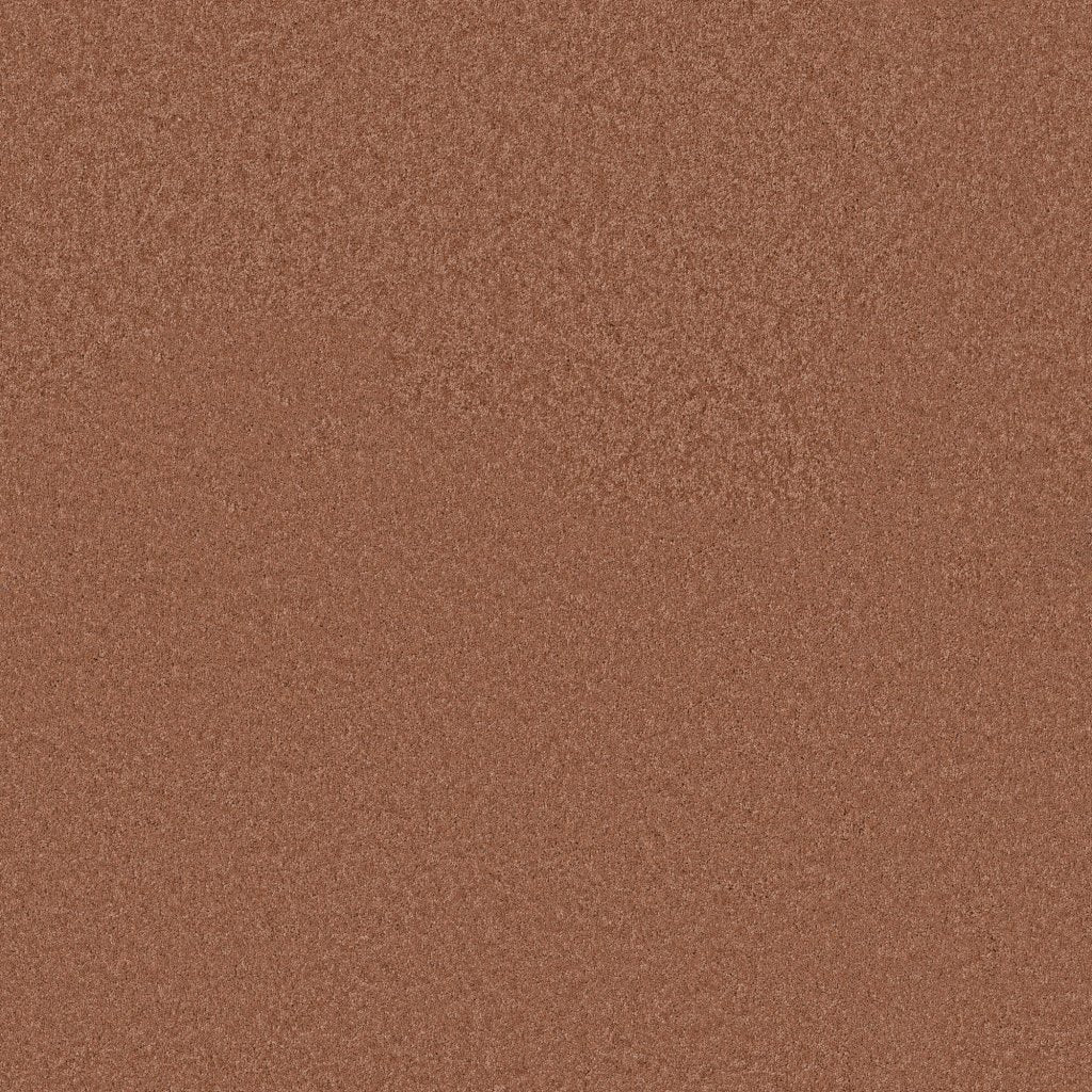 Worldwide Flooring Design Center BEWITCHED BEWITCHED Anderson Tuftex Floors
