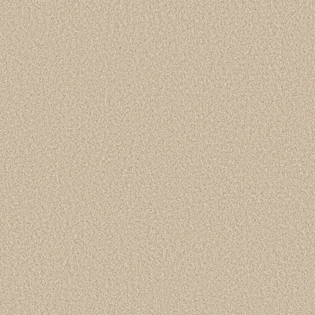 Worldwide Flooring Design Center CATALINA CATALINA Anderson Tuftex Floors