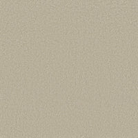 Worldwide Flooring Design Center BEWITCHED BEWITCHED Anderson Tuftex Floors