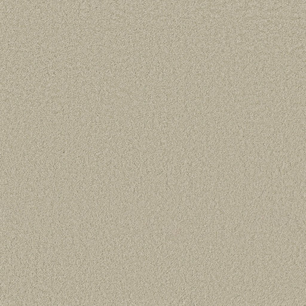 Worldwide Flooring Design Center BEWITCHED BEWITCHED Anderson Tuftex Floors