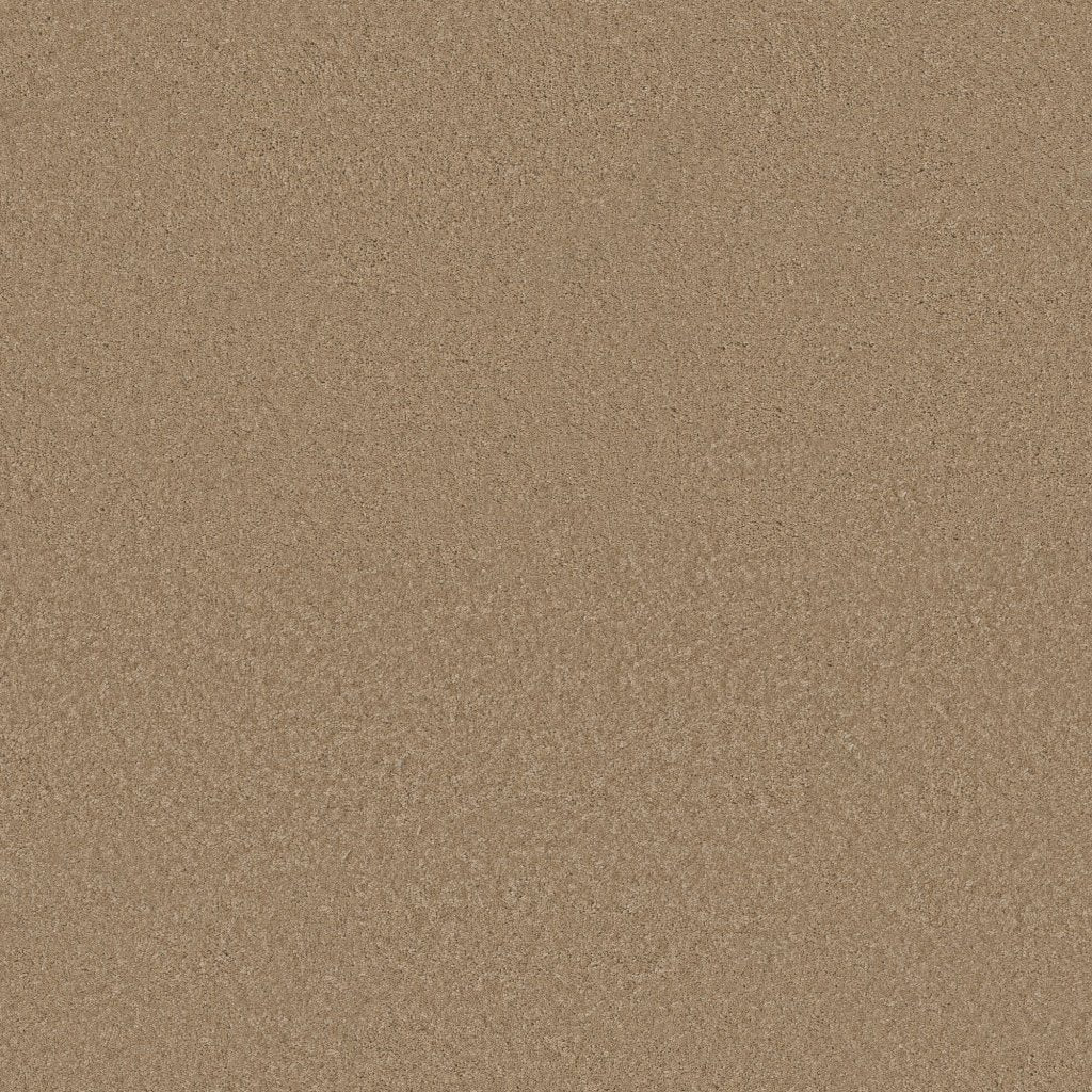 Worldwide Flooring Design Center BEWITCHED BEWITCHED Anderson Tuftex Floors
