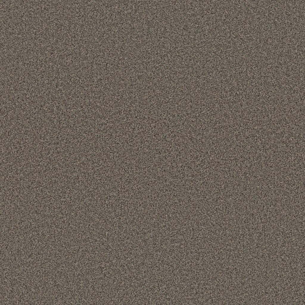 Worldwide Flooring Design Center CATALINA CATALINA Anderson Tuftex Floors
