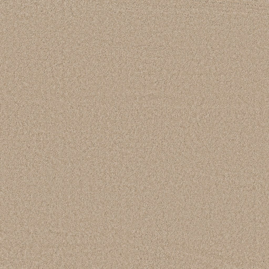 Worldwide Flooring Design Center BEWITCHED BEWITCHED Anderson Tuftex Floors