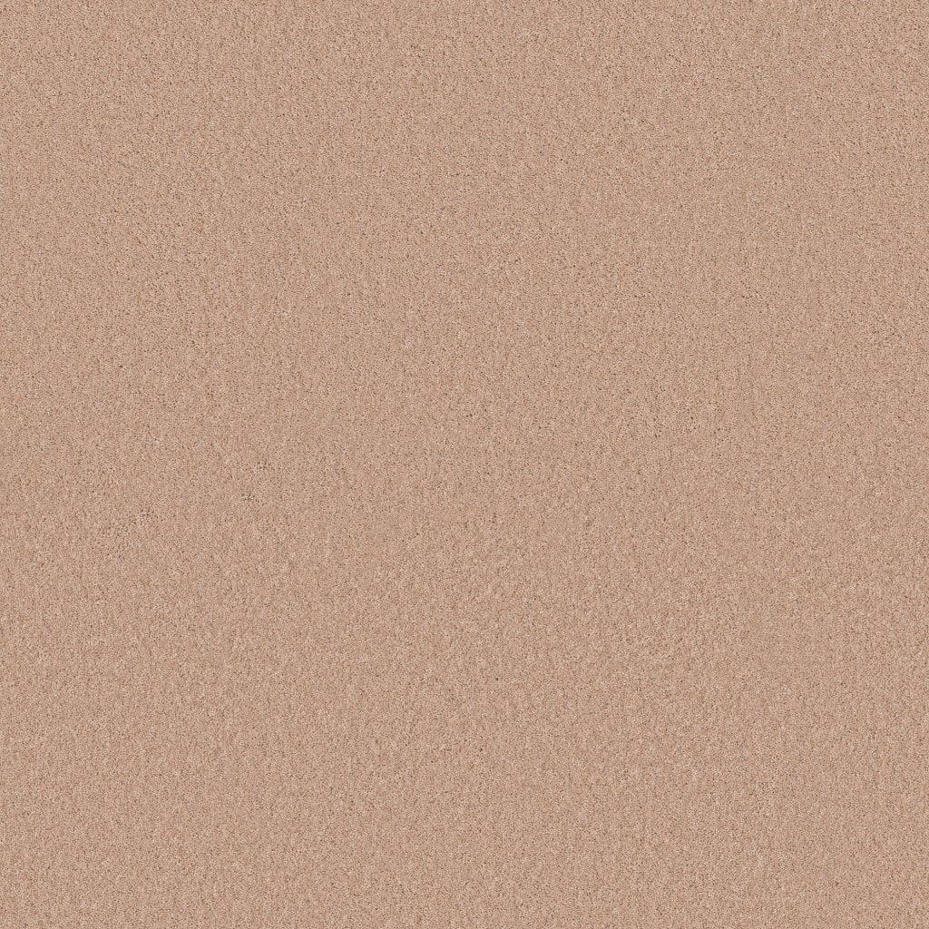 Worldwide Flooring Design Center BEWITCHED BEWITCHED Anderson Tuftex Floors