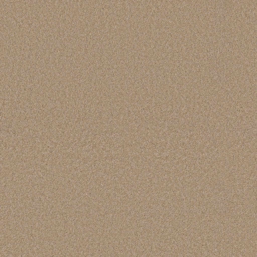 Worldwide Flooring Design Center BEWITCHED BEWITCHED Anderson Tuftex Floors