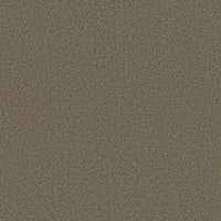 Worldwide Flooring Design Center CATALINA CATALINA Anderson Tuftex Floors