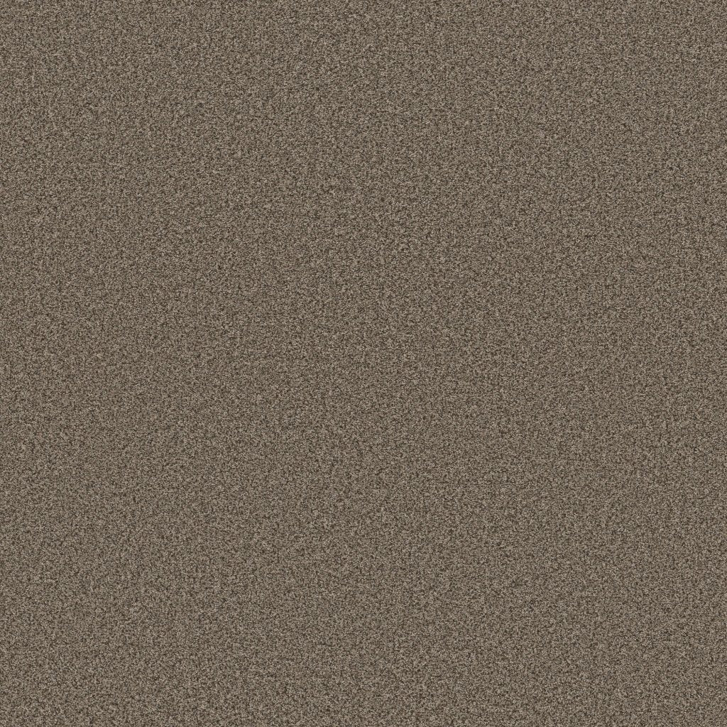 Worldwide Flooring Design Center CATALINA CATALINA Anderson Tuftex Floors