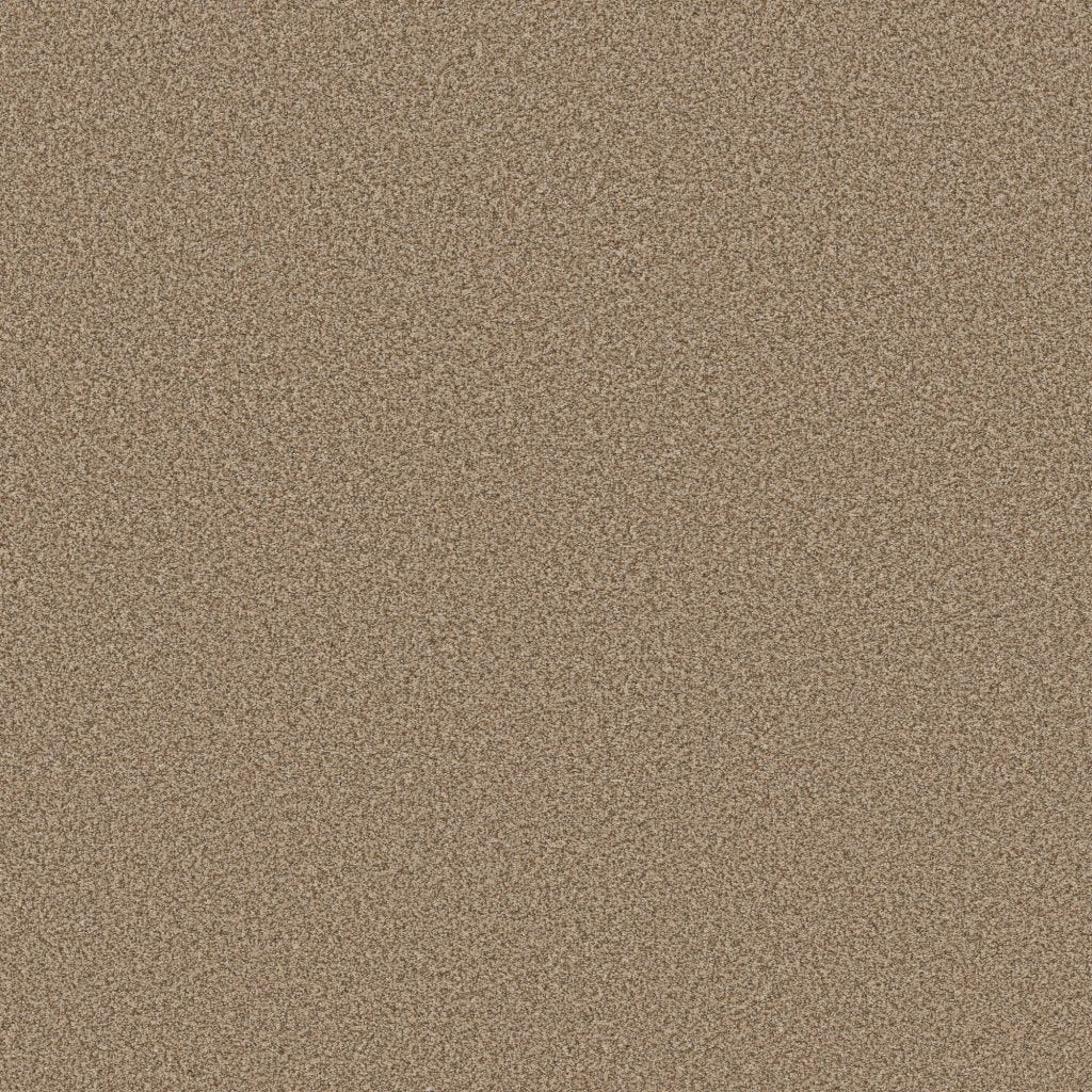Worldwide Flooring Design Center CATALINA CATALINA Anderson Tuftex Floors