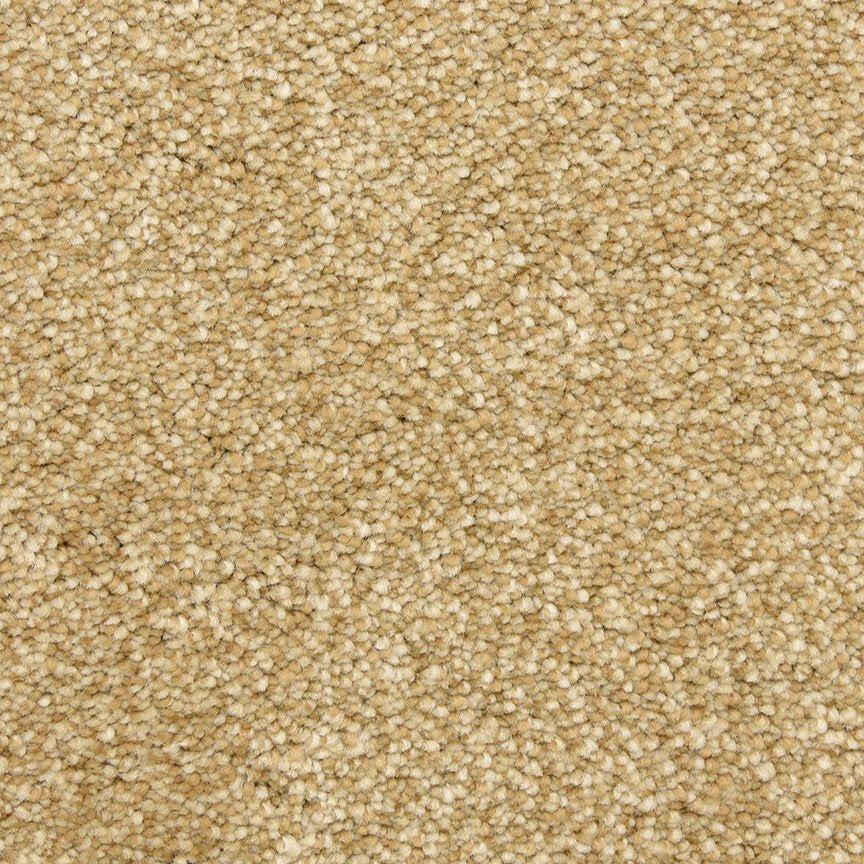 Worldwide Flooring Design Center CIVITAN CIVITAN Masland Floors