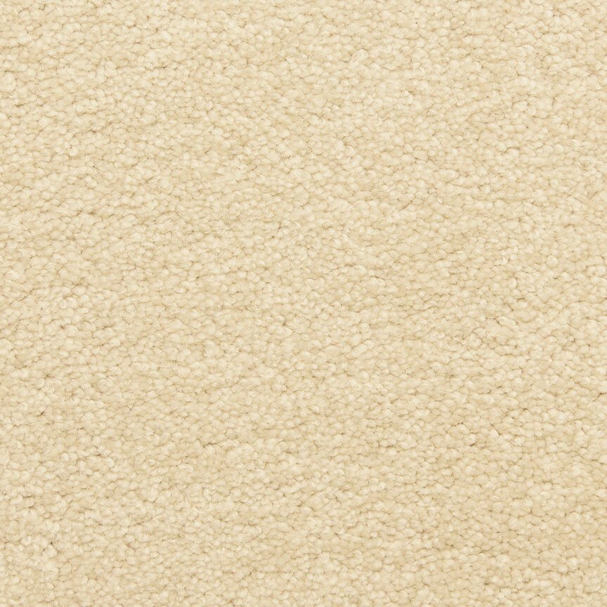 Worldwide Flooring Design Center CIVITAN CIVITAN Masland Floors