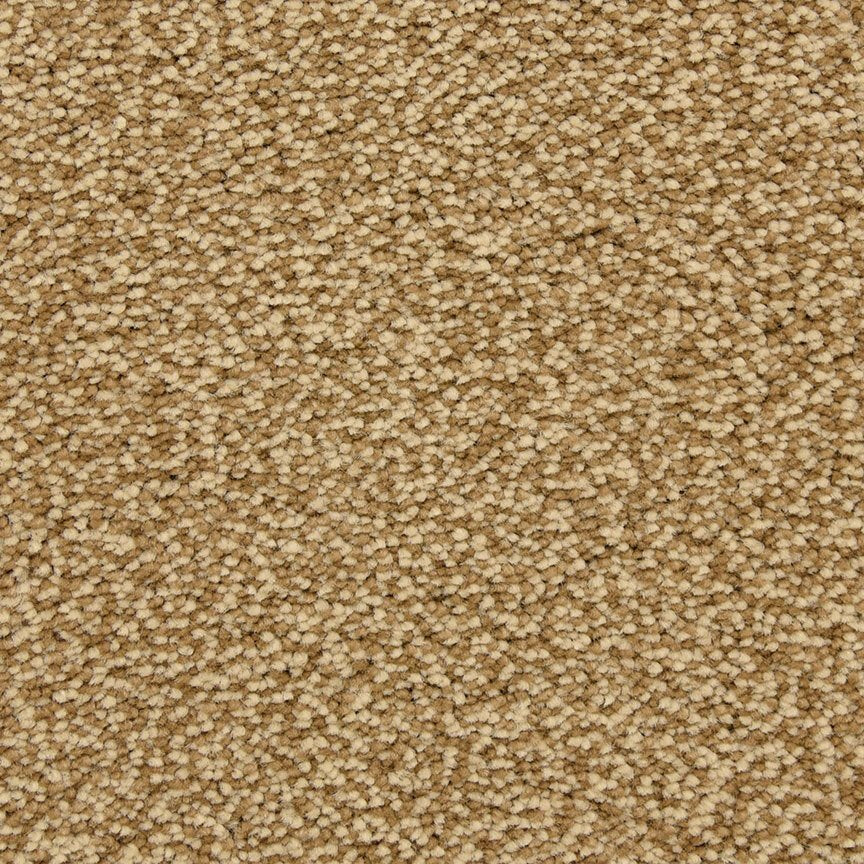 Worldwide Flooring Design Center CIVITAN CIVITAN Masland Floors