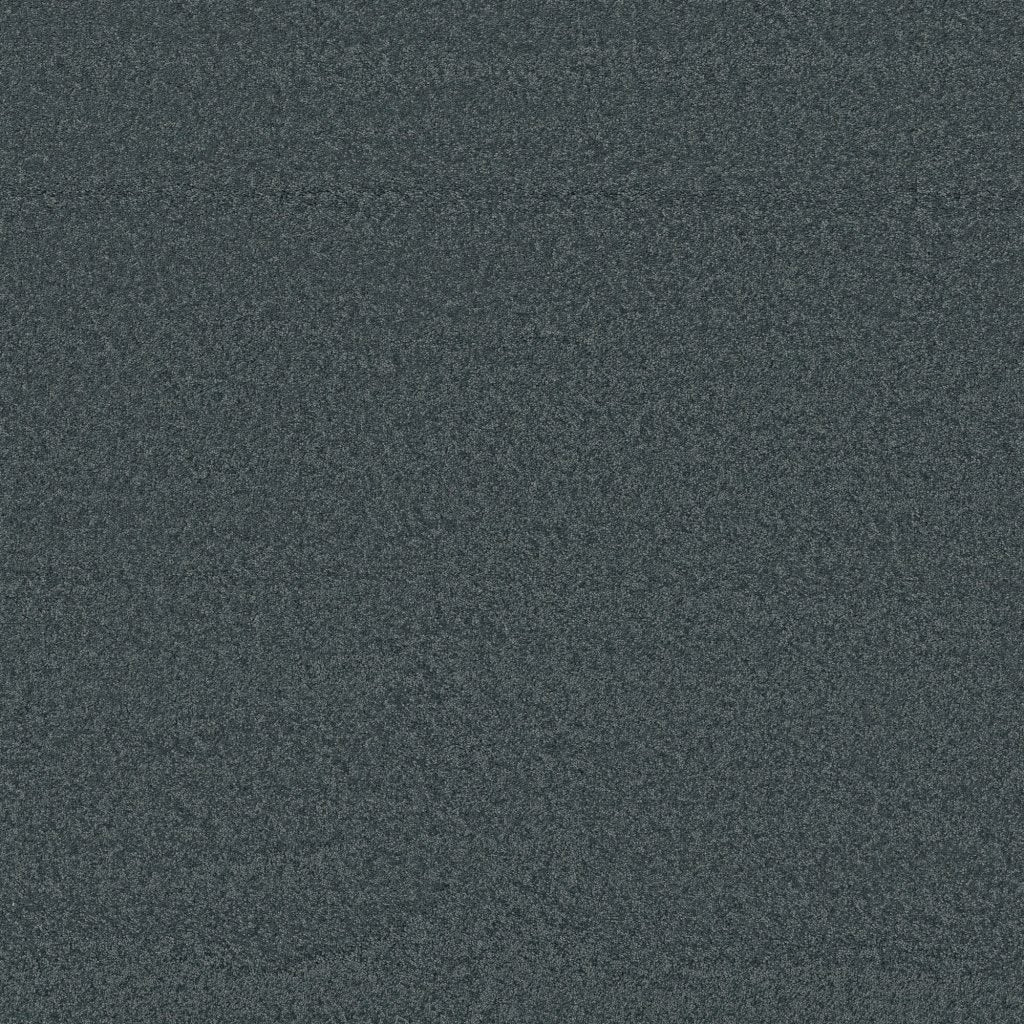 Worldwide Flooring Design Center BEWITCHED BEWITCHED Anderson Tuftex Floors