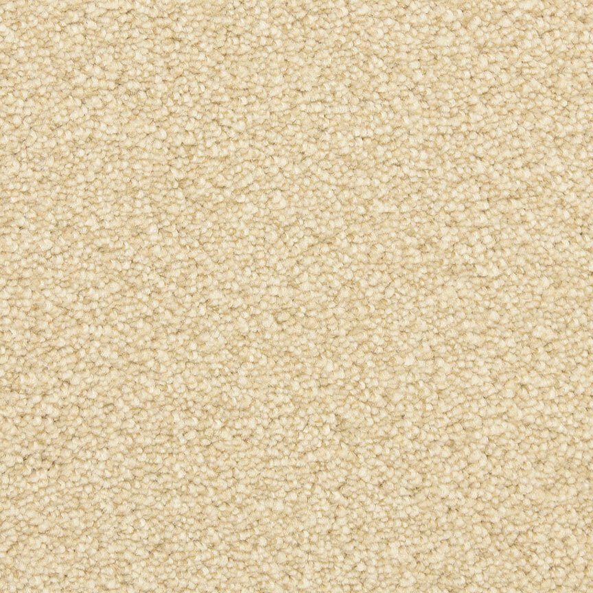 Worldwide Flooring Design Center CIVITAN CIVITAN Masland Floors