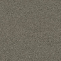 Worldwide Flooring Design Center BEWITCHED BEWITCHED Anderson Tuftex Floors
