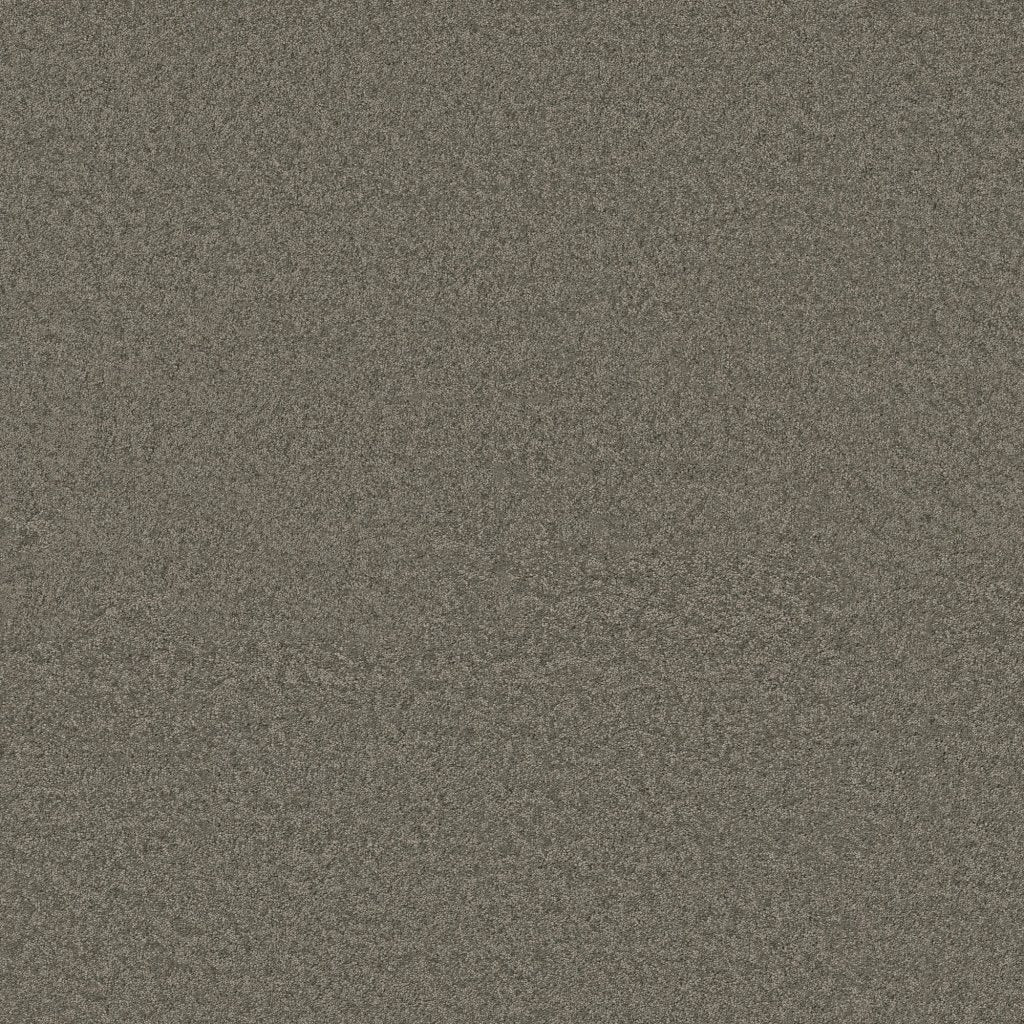 Worldwide Flooring Design Center BEWITCHED BEWITCHED Anderson Tuftex Floors