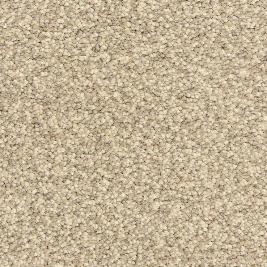 Worldwide Flooring Design Center CIVITAN CIVITAN Masland Floors