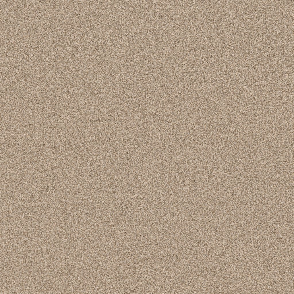 Worldwide Flooring Design Center CATALINA CATALINA Anderson Tuftex Floors