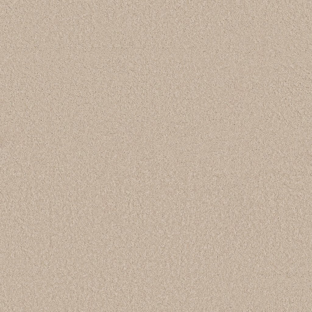 Worldwide Flooring Design Center BEWITCHED BEWITCHED Anderson Tuftex Floors