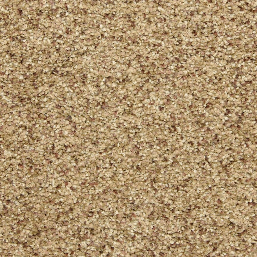 Worldwide Flooring Design Center CIVITAN CIVITAN Masland Floors