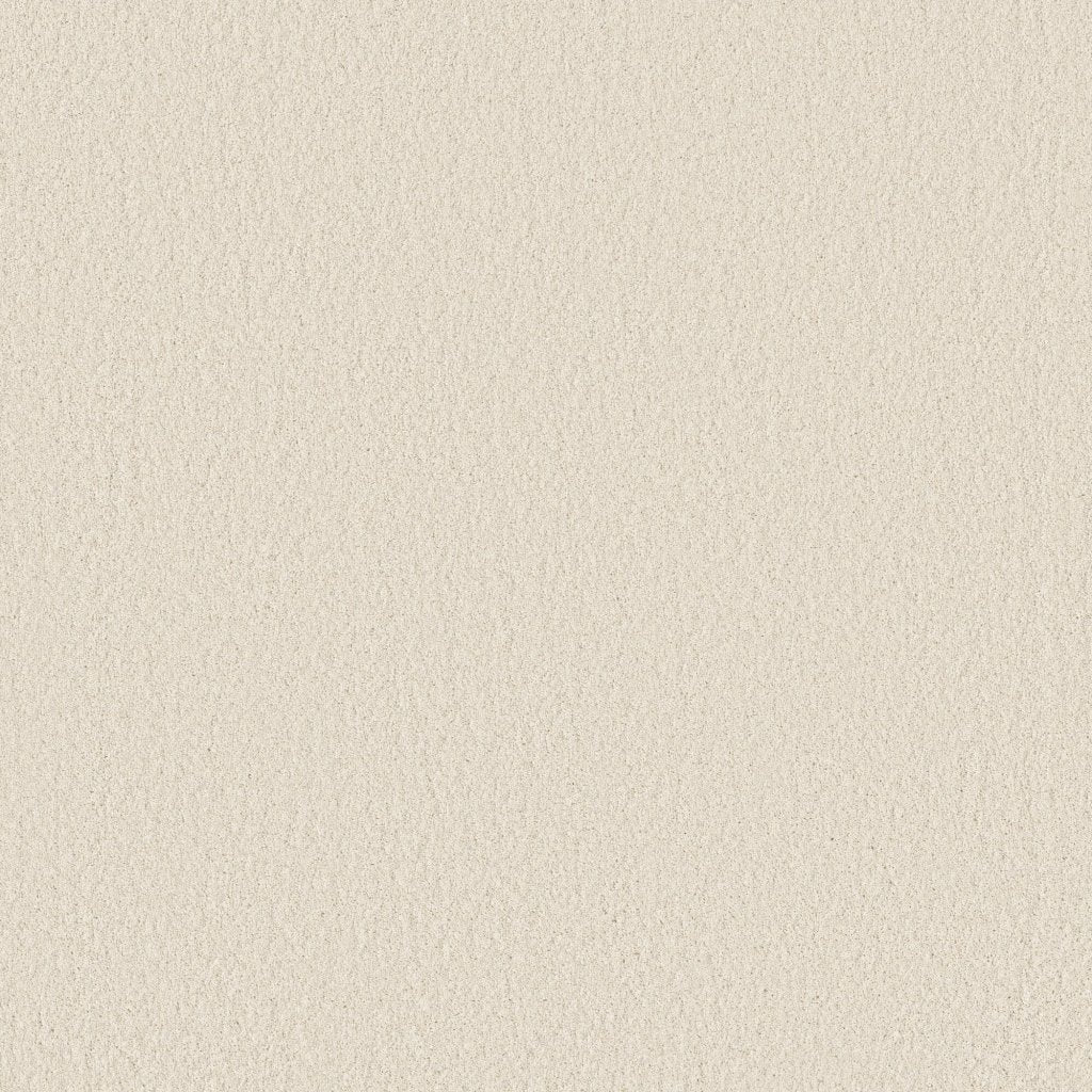 Worldwide Flooring Design Center BEWITCHED BEWITCHED Anderson Tuftex Floors