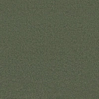 Worldwide Flooring Design Center BEWITCHED BEWITCHED Anderson Tuftex Floors