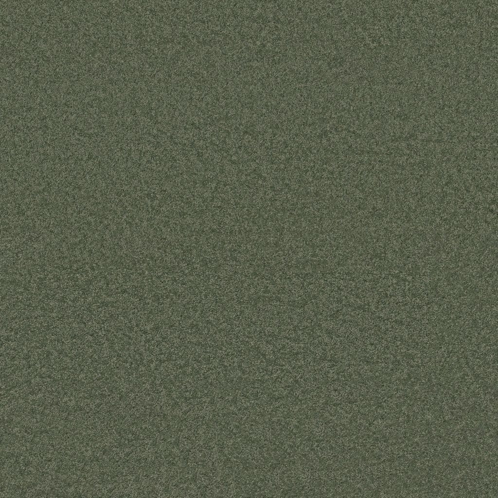 Worldwide Flooring Design Center BEWITCHED BEWITCHED Anderson Tuftex Floors