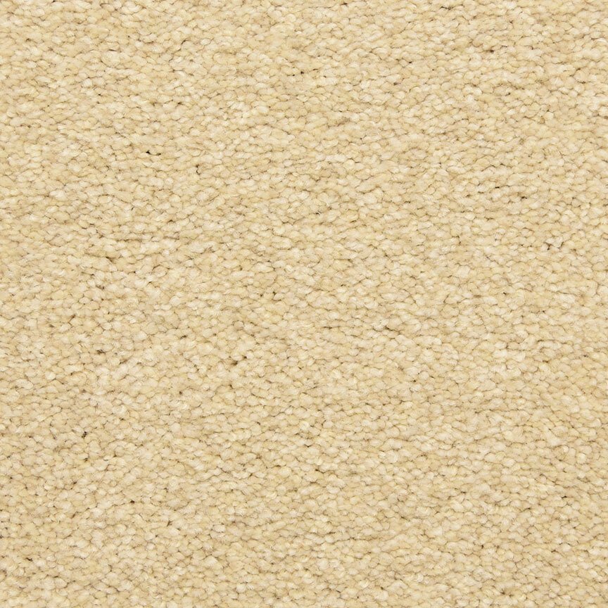Worldwide Flooring Design Center CIVITAN CIVITAN Masland Floors