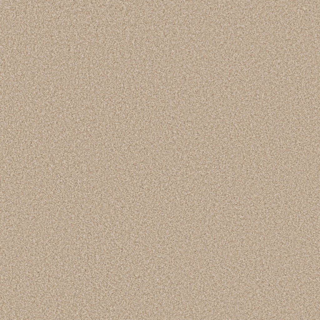 Worldwide Flooring Design Center CATALINA CATALINA Anderson Tuftex Floors
