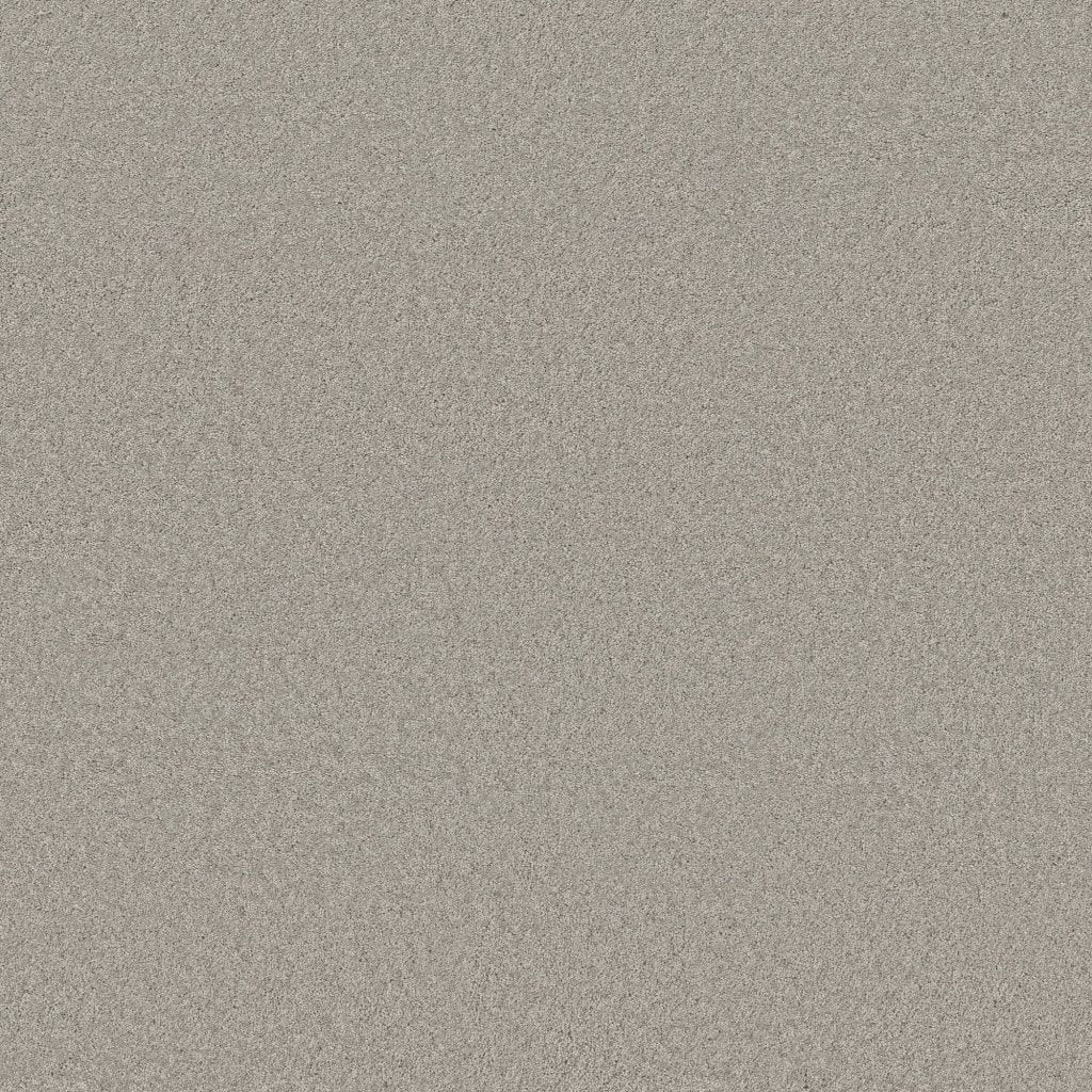 Worldwide Flooring Design Center BEWITCHED BEWITCHED Anderson Tuftex Floors