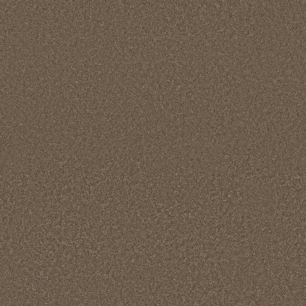Worldwide Flooring Design Center BEWITCHED BEWITCHED Anderson Tuftex Floors