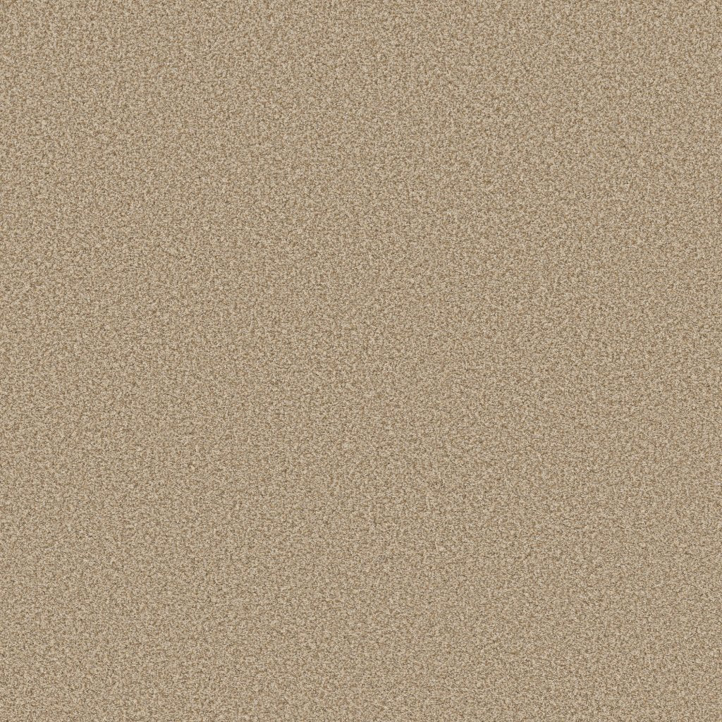 Worldwide Flooring Design Center CATALINA CATALINA Anderson Tuftex Floors
