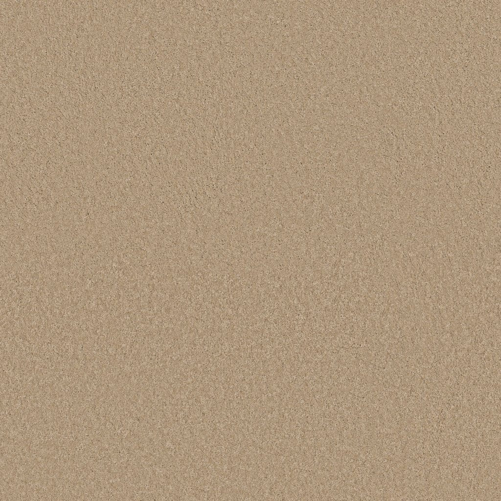 Worldwide Flooring Design Center BEWITCHED BEWITCHED Anderson Tuftex Floors