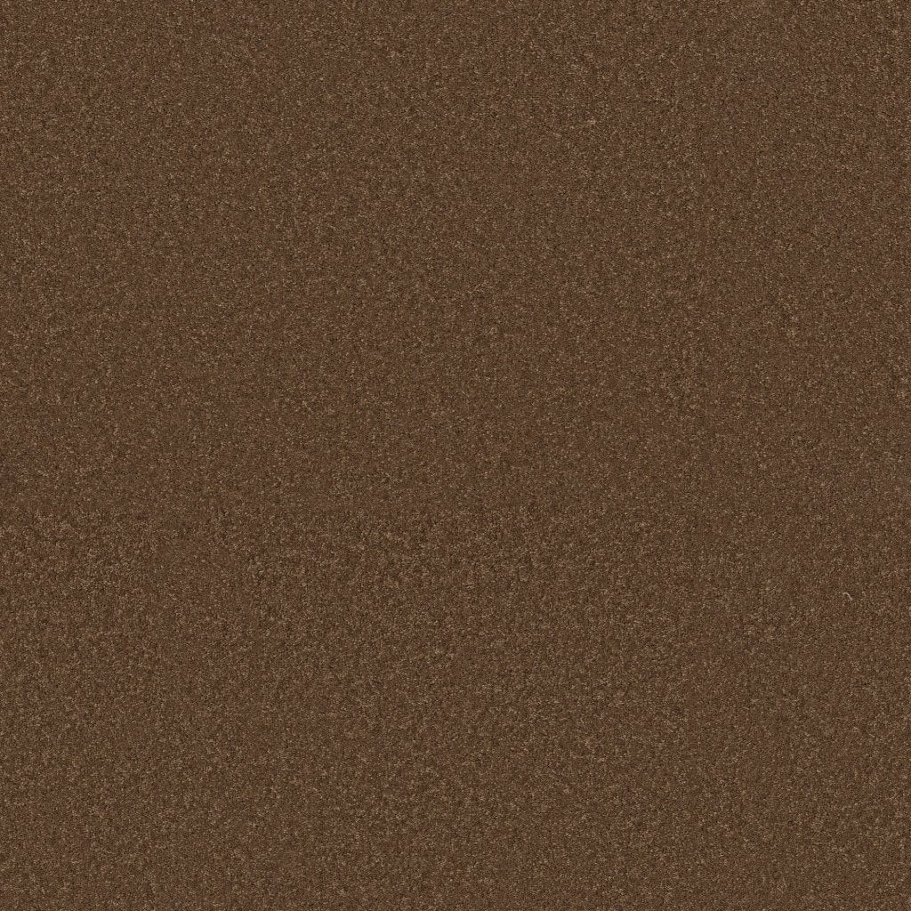 Worldwide Flooring Design Center BEWITCHED BEWITCHED Anderson Tuftex Floors