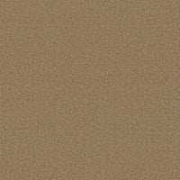 Worldwide Flooring Design Center BEWITCHED BEWITCHED Anderson Tuftex Floors