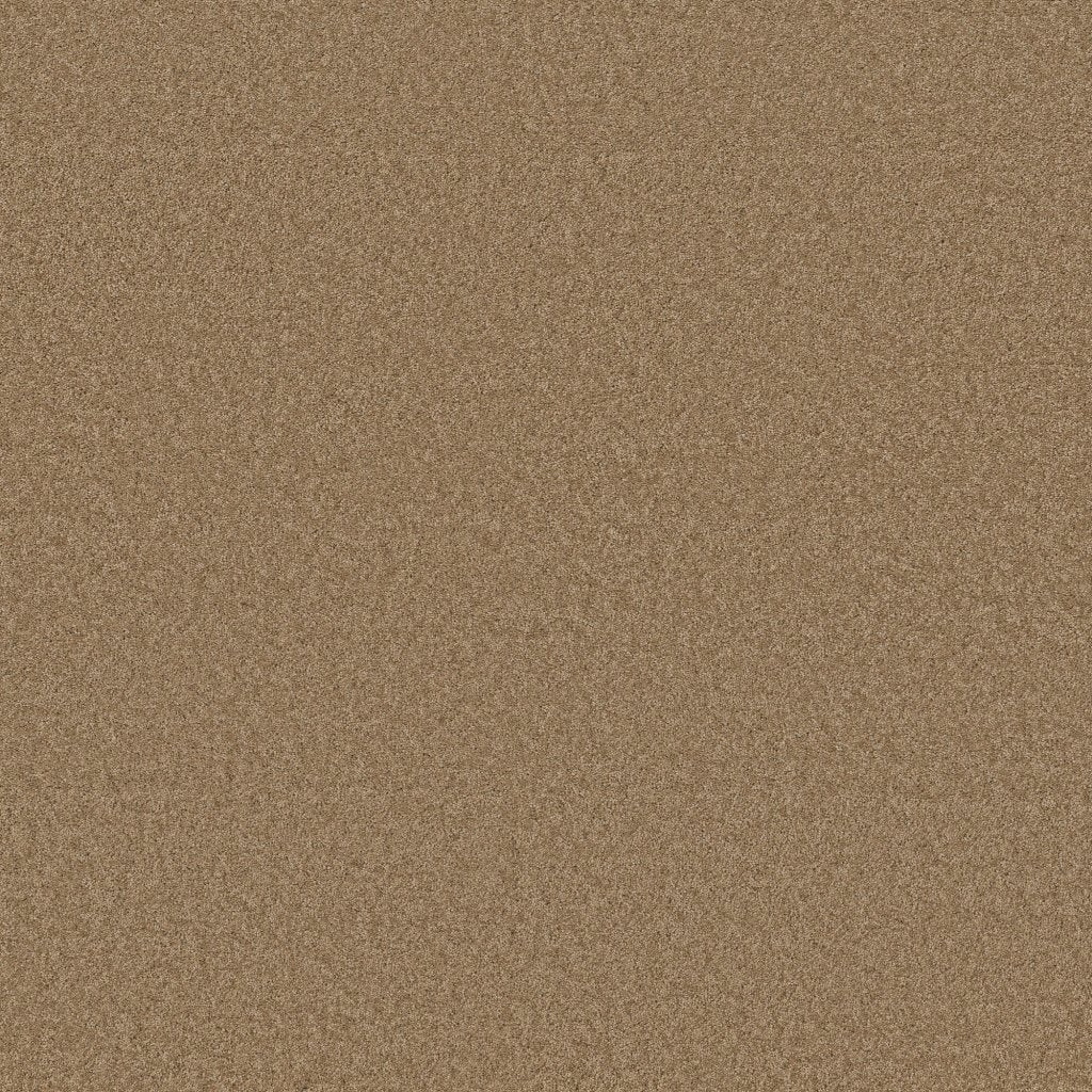 Worldwide Flooring Design Center BEWITCHED BEWITCHED Anderson Tuftex Floors