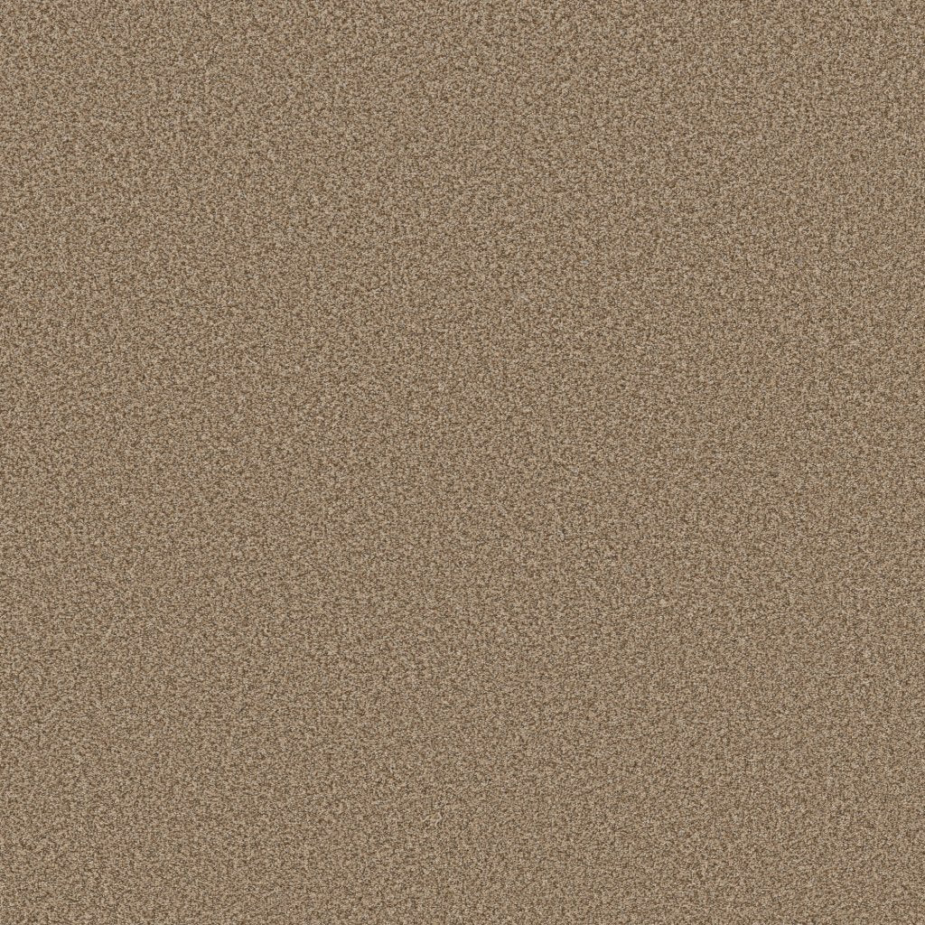 Worldwide Flooring Design Center CATALINA CATALINA Anderson Tuftex Floors