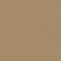 Worldwide Flooring Design Center BEWITCHED BEWITCHED Anderson Tuftex Floors